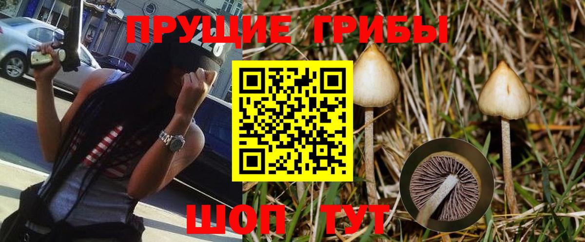 Галлюциногенные грибы Magic Shrooms Боровичи