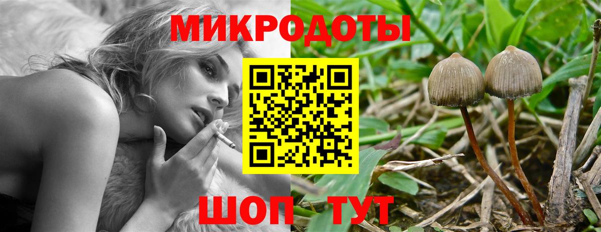 Псилоцибиновые грибы Psilocybe  Псилоцибиновые грибы прущие грибы  Вход с VPN  наркотики  Боровичи 